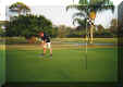 golf.jpg (166580 bytes)