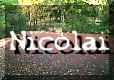 nico-link.jpg (16786 bytes)